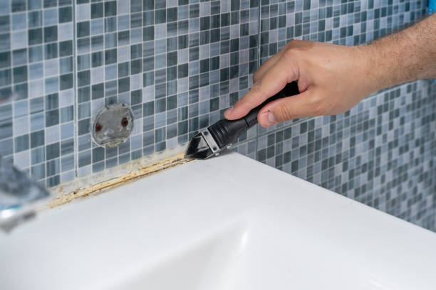Best Bathroom Mold Remediation in Orofino, ID